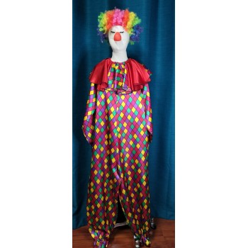 Check Clown #2 ADULT HIRE